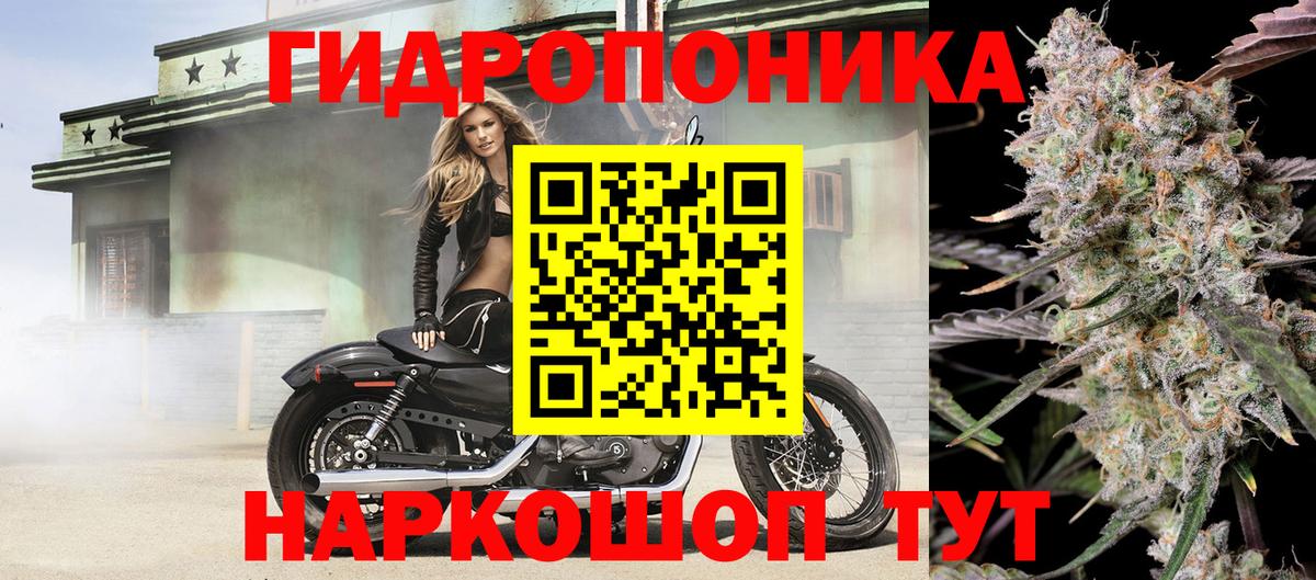 Бутурлиновка  Марихуана семена  Вход с VPN  Конопля OG Kush  Бошки Шишки марихуана 